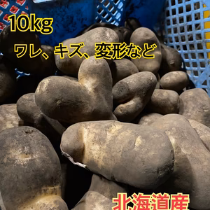 ●訳あり品 じゃがいも メークイン ●10キロ ●北海道 ジャガイモ