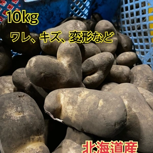 ●訳あり品 じゃがいも メークイン ●10キロ ●北海道 ジャガイモ