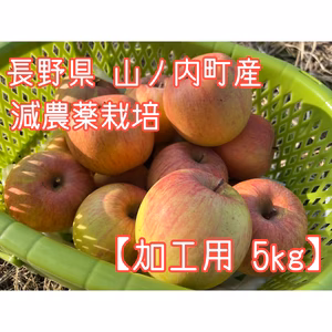 【加工用】特別栽培/ネオニコ不使用/ キズ果/打撲果 混載 サンふじ