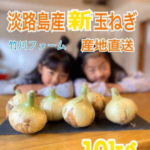 新玉令和4年淡路島産極早生新玉ねぎ 品種トップゴールド　10キロ