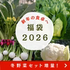 【福袋2026】増量お届け！冬野菜セットで新年賑やかな食卓を★