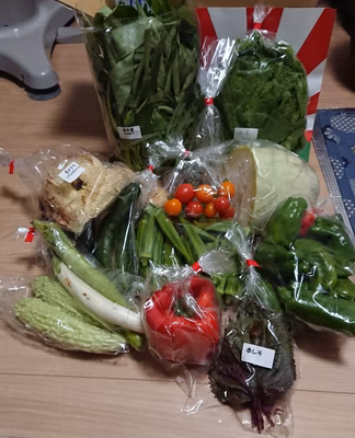 みんなの投稿の画像