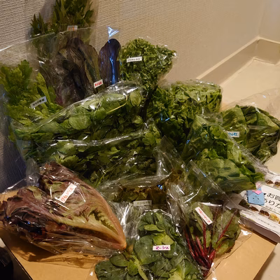 みんなの投稿の画像