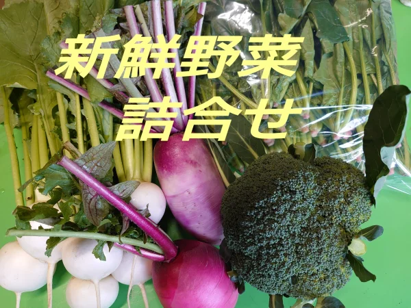 ☆新鮮野菜詰合せ　ブロッコリー・ほうれん草・根菜2種類おまかせセット