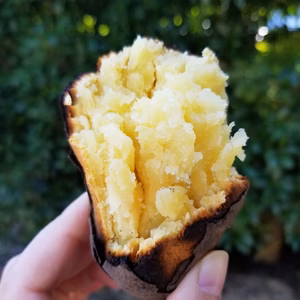 焼き芋☆紅はるか☆やきいも【いもねぇ】