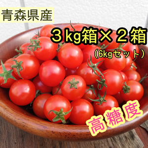 【リクありましたので】ミニトマト　６kg　青森県産　プチトマト