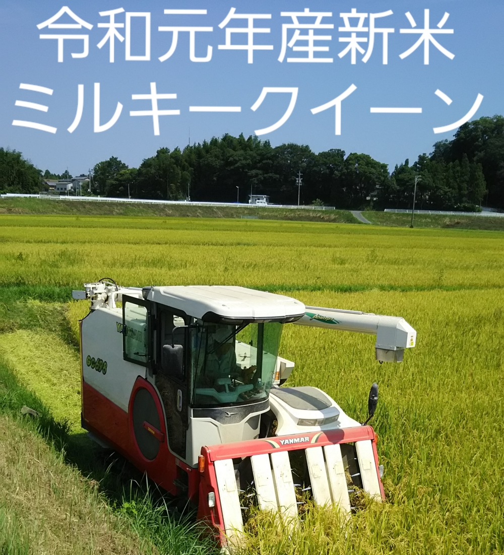 ミルキークイーン5キロ 2袋送料込み沖縄 北海道はプラス800円です 農家漁師から産地直送の通販 ポケットマルシェ