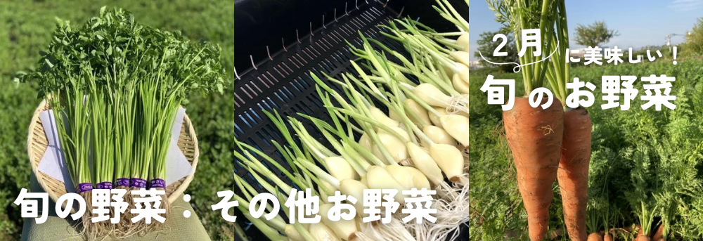 その他、2月に販売中の野菜