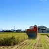 『玄米』2合×２袋　送料無料　特別栽培米特Aランク　特別農産物県認証夢しずく新米