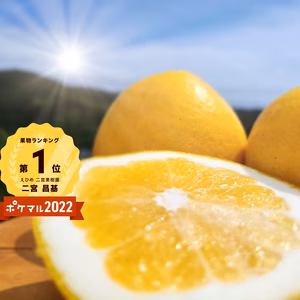 超！完熟河内晩かん　見た目の悪さが美味しい秘密