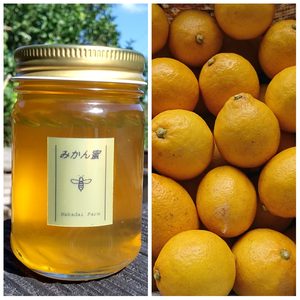非加熱の純粋みかん蜜＆防腐剤・農薬・ワックス・不使用レモンセット