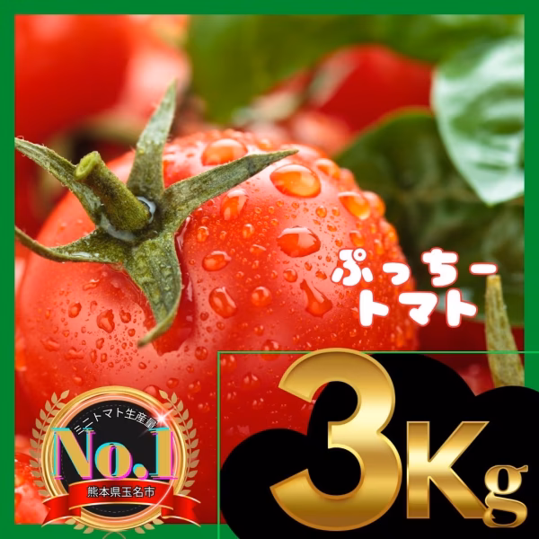ミニトマト　3キロ　野菜　熊本産地直送　弁当　おかず　トマト　ミネラル　リコピン