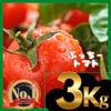 ミニトマト　3キロ　野菜　熊本産地直送　弁当　おかず　トマト　ミネラル　リコピン