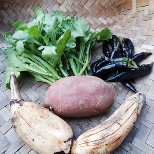 【自然栽培】お試し☆季節のお任せ野菜セットS