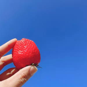 安心安全！おまかせ苺2品種食べ比べセット　2パック