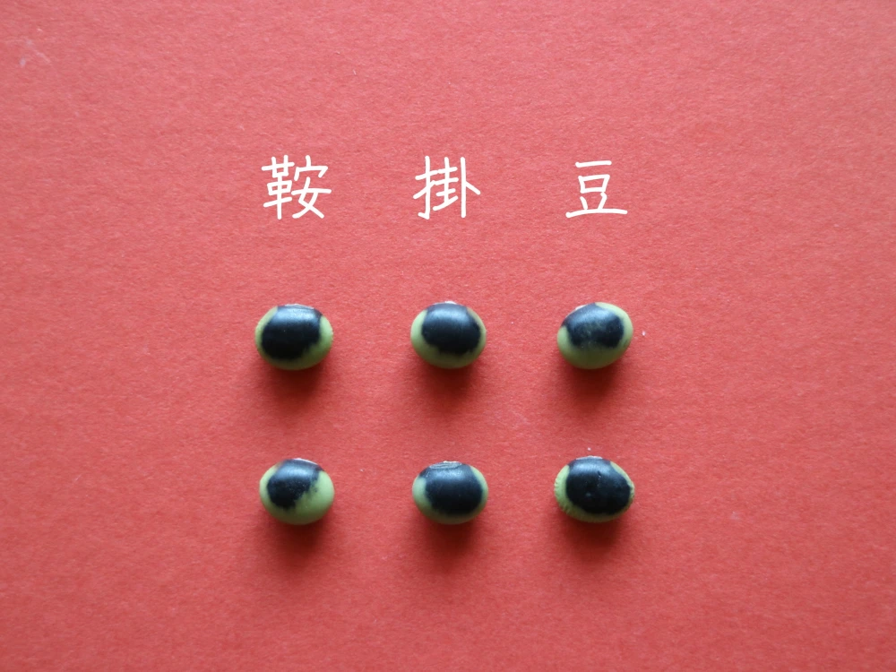 【鞍掛豆　２００g】ユニークな模様とコリコリ食感が特徴の大豆です