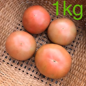 減農薬 桃太郎 トマト 約7kg はねだし 訳あり