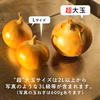【超大玉】淡路島産たまねぎ 訳あり 特別栽培 兵庫県認証食品 レシピ付き！ 