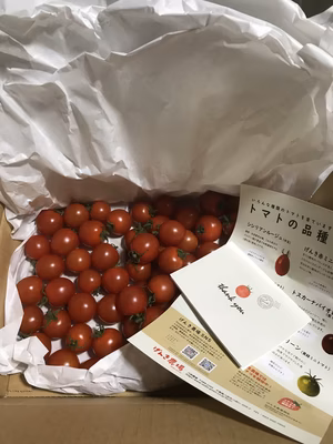 みんなの投稿の画像