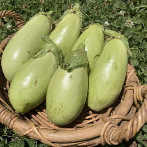 【無農薬無肥料】ふわトロがたまらないヒスイナス60サイズ(8〜10本)