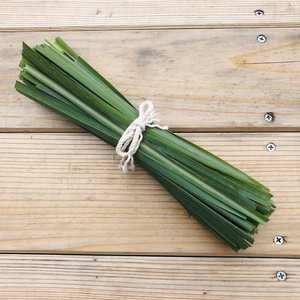 【香り楽しむ】フレッシュ！生レモングラス～農薬不使用～