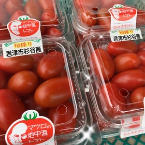 生でも調理でもいけるソバージュ栽培の完熟イタリアンミニトマト（箱/4パック入り）