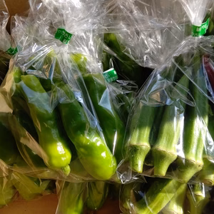 オクラ、獅子唐の天ぷらセット！