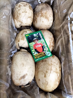 みんなの投稿の画像