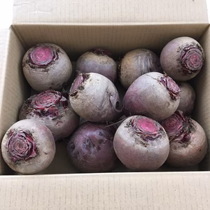 今が旬！真っ赤なビーツ