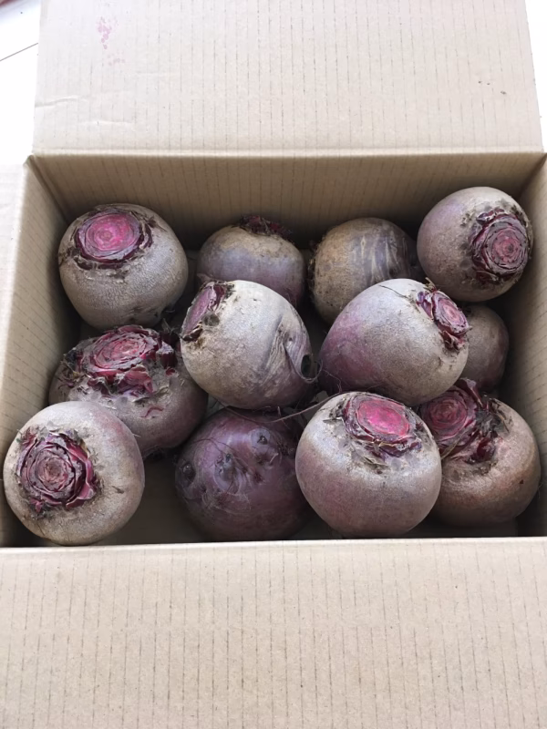 今が旬！真っ赤なビーツ