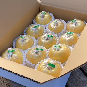 【糖度13度】りんご はるか 自宅用 訳あり 小玉 2kg/3kg