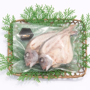 長崎県壱岐産　ちこ鯛のひらき<一枚入り>