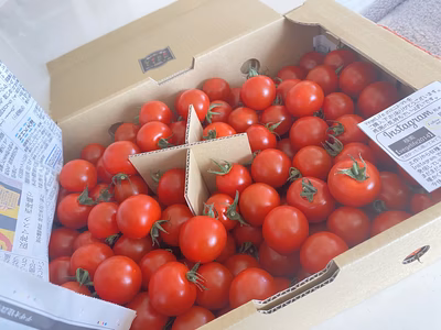 みんなの投稿の画像