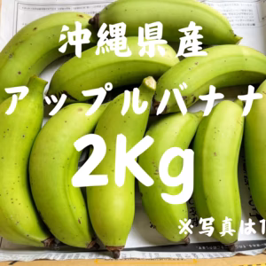 沖縄県産アップルバナナ (2Kg20本前後)