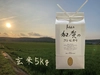 【農薬・化学肥料不使用】令和2年産-加賀のコシヒカリ玄米5㎏