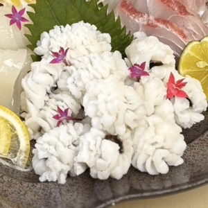 【誤魔化しの効かない夏の魚】身が主役の天然国産『ハモ』お刺身約350g