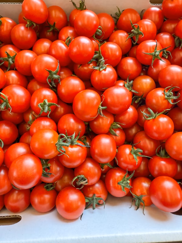 食卓ライフの革命家✨ひとつなぎ畑のミニトマト