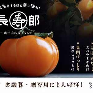 9月中に発送！　ハウス次郎柿『長寿郎』Sサイズ18玉入り　少し傷ありお徳用