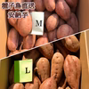 【絶品】種子島産 安納芋 M&L 混合サイズ