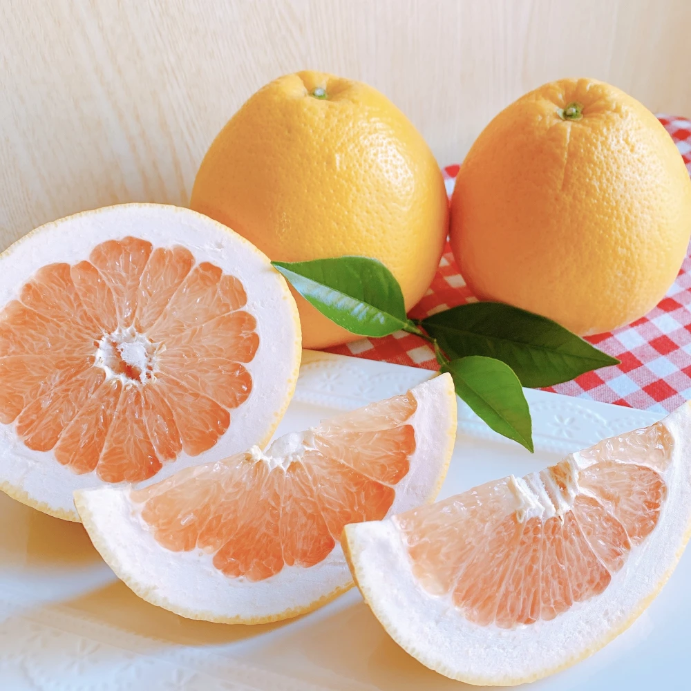 ちょっと訳あり＊グレープフルーツ・さがんルビー