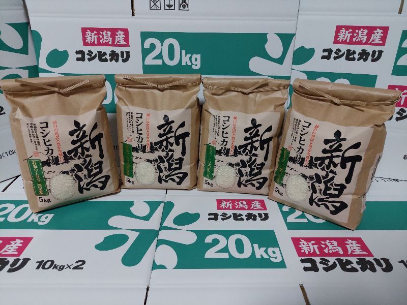 早い者勝ち【生産者直送】令和6年産 新米 和歌山県産 ひのひかり