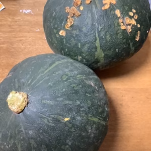 【買得外観難】新品種カボチャ甘みとコクのグラッセ　