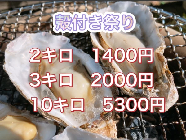 当日水揚げ出荷‼︎【江田島産　真牡蠣殻付　加熱用】500g、1㎏、2㎏、3㎏