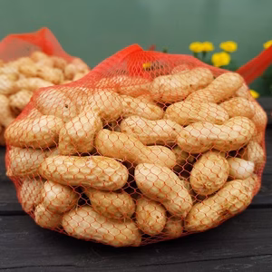 予約受付中！8月中旬～順次発送！千葉県産　生落花生（郷の香）1㎏（500g×２）
