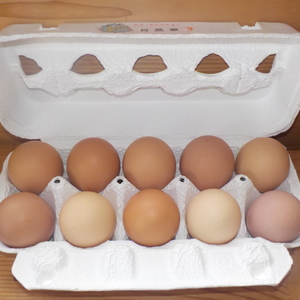 まなぶ農園の自然卵20個セットともも肉と胸肉をそれぞれ1パックの組み合わせパック