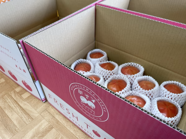 【ギフト】ずっしり詰まった あまーい桃太郎トマト♡食べたらトリコ 