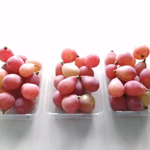 クイーンニーナ粒粒