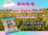 R4年産　Pino farmのお米　にじのきらめき  ５㎏
