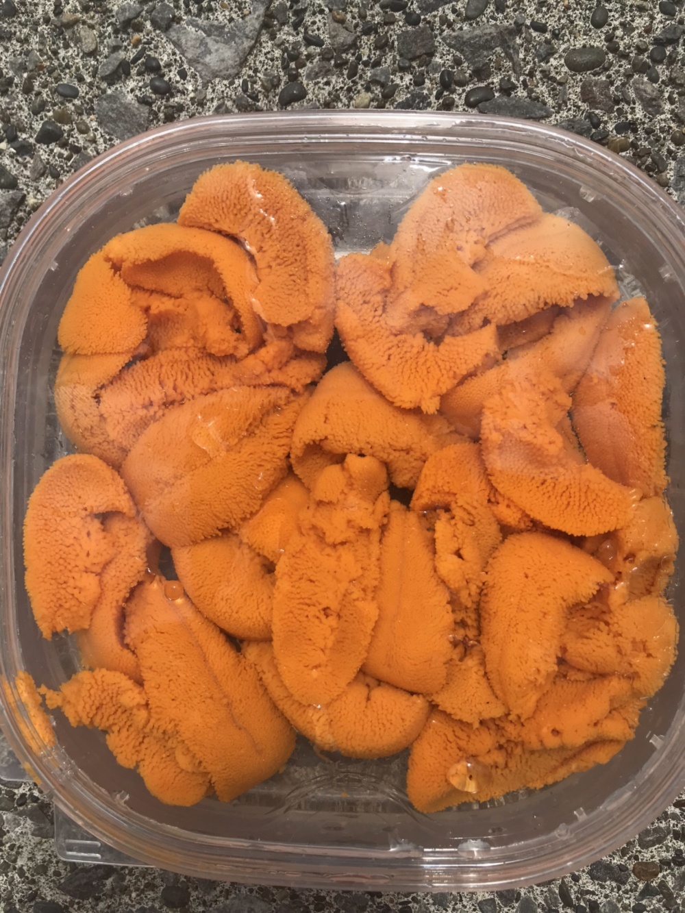 送料無料 蝦夷バフンウニ 利尻島産 100g入れ 5パック入り 農家漁師から産地直送の通販 ポケットマルシェ