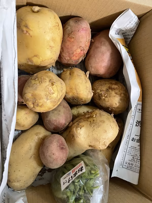 みんなの投稿の画像